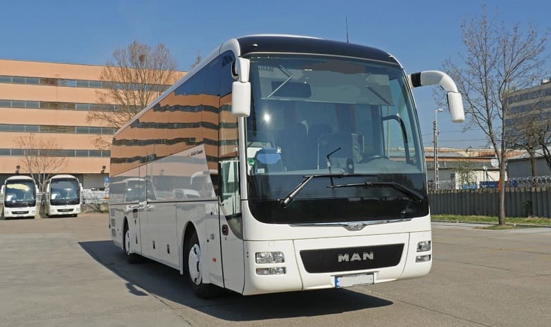 Central Macedonia: Buses operator in Giannitsá in Giannitsá and Greece